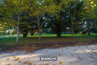 Lote en Barrio Pinares de Santa Clara - 2.117 m² forestados sin expensas - Imagen 17