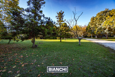 Lote en Barrio Pinares de Santa Clara - 2.117 m² forestados sin expensas - Imagen 15