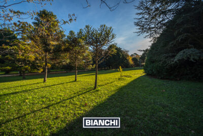 Lote en Barrio Pinares de Santa Clara - 2.117 m² forestados sin expensas - Imagen 16