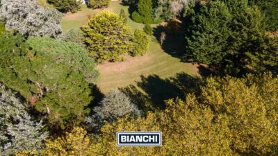 Lote en Barrio Pinares de Santa Clara - 2.117 m² forestados sin expensas - Imagen 8