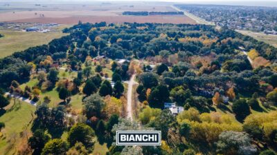 Lote en Barrio Pinares de Santa Clara - 2.117 m² forestados sin expensas - Imagen 12