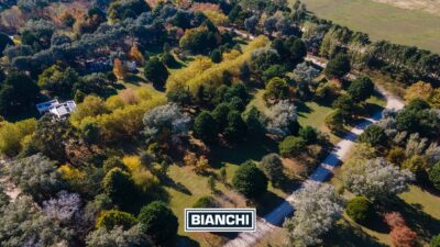 Lote en Barrio Pinares de Santa Clara - 2.117 m² forestados sin expensas - Imagen 11