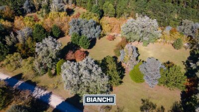 Lote en Barrio Pinares de Santa Clara - 2.117 m² forestados sin expensas - Imagen 10