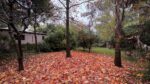 Vivir en el Bosque Peralta Ramos: casa con parque, terraza y 3 habitaciones - Imagen 13