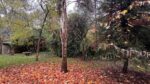 Vivir en el Bosque Peralta Ramos: casa con parque, terraza y 3 habitaciones - Imagen 14
